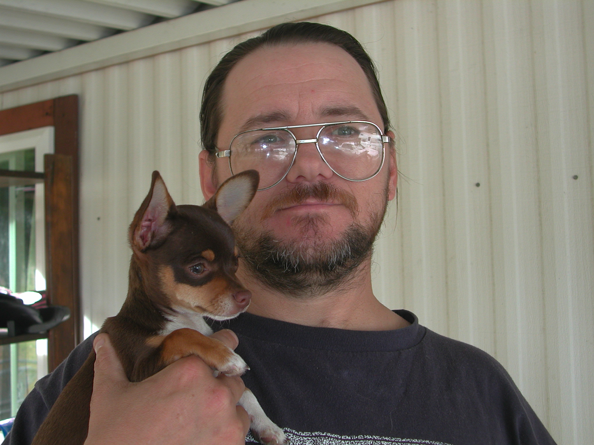 Seville_BORED and Tippy the Wonder Dog!