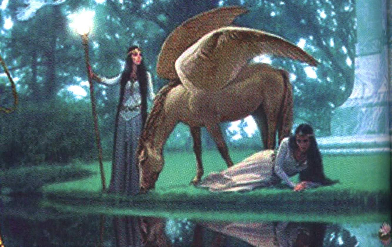 My Favorite Wallpaper