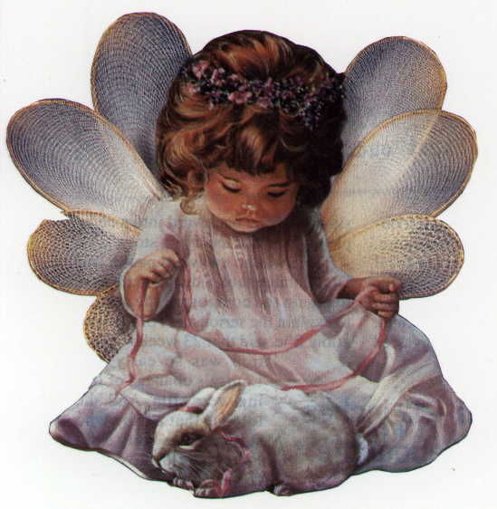 Who said barbs don't have a softer side?